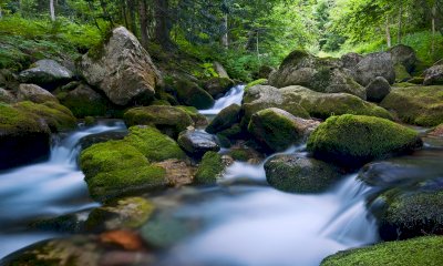 Chiusa Di Pesio, arriva la rassegna gastronomica 