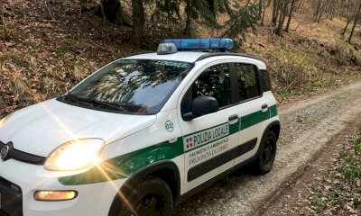 Aveva predisposto lacci di cattura per caprioli e cinghiali nei boschi di Castino, denunciato
