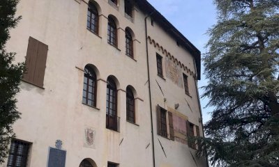 Il grande cedro di Mombasiglio verso il riconoscimento ufficiale