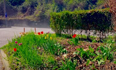 Primavera a Dogliani Castello: il borgo rifiorisce grazie ai volontari