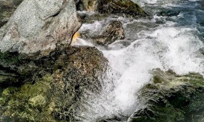 Progetto Ellero, Comuni monregalesi uniti per la rinascita ambientale