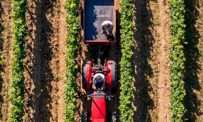 Al Vinitaly un viaggio tra identità e sfumature del vino rosè con Confagricoltura Cuneo
