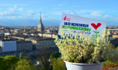 LVIA torna nelle piazze con le piantine aromatiche solidali per il Diritto all’acqua in Africa