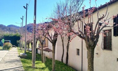 Monastero di Vasco, interventi sul verde pubblico: in corso la potatura delle alberature