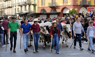 Saluzzo, conto alla rovescia per 