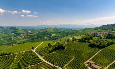 Langhe, Monferrato e Roero: superata la quota record di oltre 1 milione e 700mila presenze