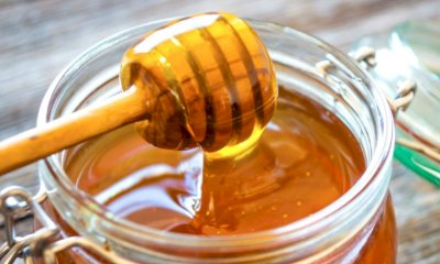 Canale, il miele del Roero incontra i sapori del territorio 