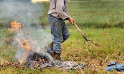 Dal 16 aprile in Piemonte è consentito l'abbruciamento dei residui vegetali