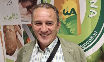 Castagna Cuneo Igp, Marco Bellone è il nuovo presidente del Consorzio