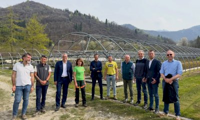 Chiusa di Pesio: il Centro Vivaio di Castanicoltura diventa riferimento nazionale