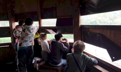 Go Green, giornata tra birdwatching e avventure alla riserva naturale Crava Morozzo