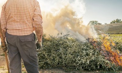 Abbruciamenti: “Una vittoria occitana. Ci si augura che non sia solo un fuoco di paglia”