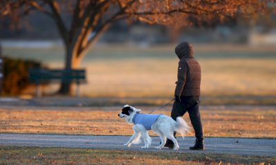 &ldquo;Hai dato un calcio al mio cane&rdquo;: botte tra vicini in piazza a Centallo
