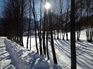 Nel weekend dell'Epifania nevicherà a partire dai 900 metri