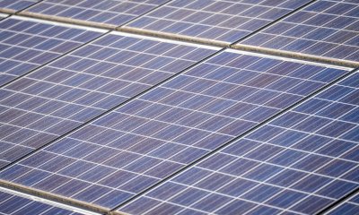 Ceva accelera sulla transizione ecologica con nuovi impianti fotovoltaici per le scuole