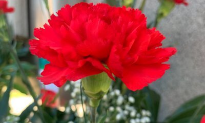 A Savigliano Legge “Memorie di libertà: voci dalla Resistenza”