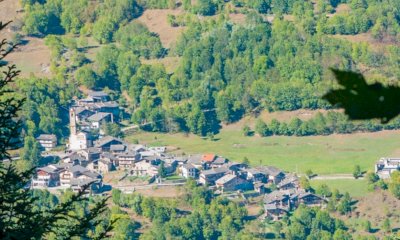 I boschi piemontesi diventano aule a cielo aperto: tornano le giornate informative per le scuole
