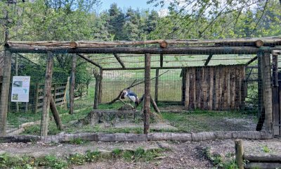Il Parco Safari delle Langhe inaugura la nuova Voliera delle Gru e la mostra degli Aracnidi