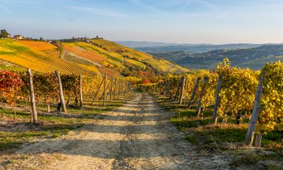 Dieci aziende rappresentano il Distretto del Cibo del Roero a Vinum 2026 