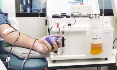 Manca plasma di gruppo AB e B, l'appello della Struttura Regionale di Coordinamento Trasfusionale