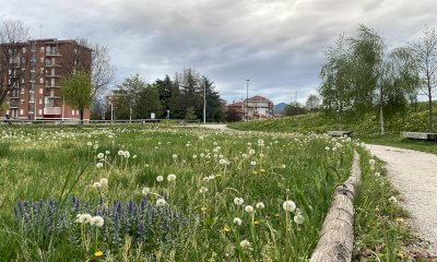 Erba alta e spazi trascurati al Parco Parri: 