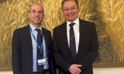 Peste suina, Bongioanni:&nbsp;&ldquo;La Liguria collabori per il contenimento della specie cinghiale&rdquo;