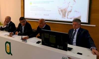 Peste suina africana, Confagricoltura Piemonte e Cuneo: &ldquo;Risultati importanti"