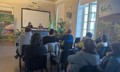 Nuova sede per il mercato contadino del mercoledì a Cuneo: 