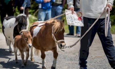 Fera 'd San Giors a Frabosa Sottana: modifiche alla viabilità per la festa patronale 