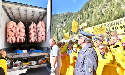 L'allarme Coldiretti al Brennero: “Fiumi di cibo straniero spacciato per Made in Italy