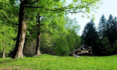 Aree Protette e Rete Natura 2000: dalla Regione 4,2 milioni per la sistemazione idrogeologica