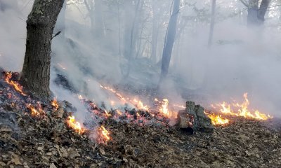 Incendio a Ormea: fiamme nel sottobosco (FOTO)