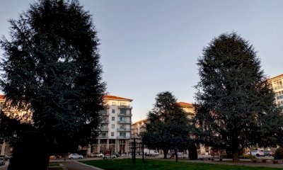 La storia del verde pubblico dalle origini ai giorni nostri: se ne parla in piazza Europa