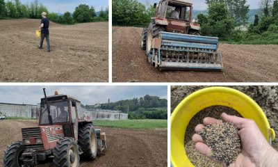 Al via il progetto +Api2026 a Piozzo