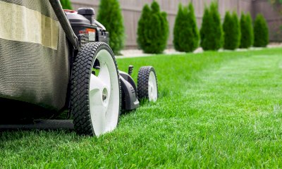 Roburent si rif&agrave; il look per la primavera: al via il piano straordinario di sfalcio e decoro urbano