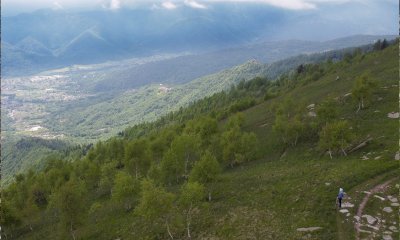 La Regione approva il Piano di Gestione Forestale per 680 ettari tra Busca, Villar e Roccabruna