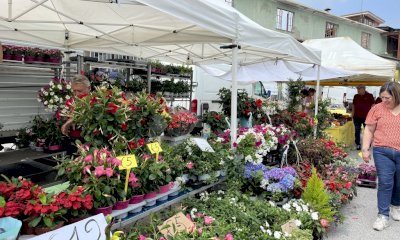 Roccaforte Mondov&igrave; celebra la natura: torna la Fiera delle Erbe