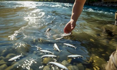 Specie ittiche, il Ministero dell&rsquo;Ambiente chiarisce il quadro normativo: in arrivo tre decreti nazionali