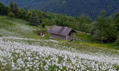 Roccaforte Mondov&igrave;, bando per l'alta quota: moduli abitativi elitrasportati a 1.700 metri