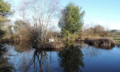 Cuneo, apertura straordinaria al Giardino naturale Lipu per "Note di Verde" 