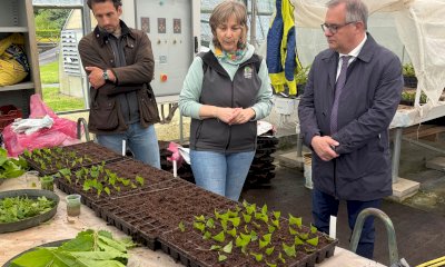 Il Piemonte capitale della castanicoltura: Chiusa di Pesio al centro della ricerca mondiale