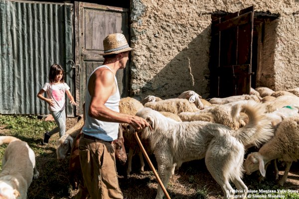 Sulle antiche vie della transumanza: a Cuneo la presentazione del percorso &ldquo;La Routo&rdquo;