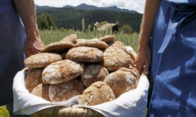 Il 23 maggio Forni Narranti cammina verso le borgate