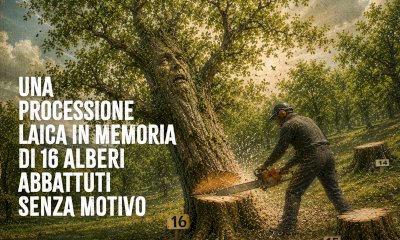 A Monteu Roero gli ambientalisti fanno il &ldquo;funerale&rdquo; a sedici castagni secolari abbattuti
