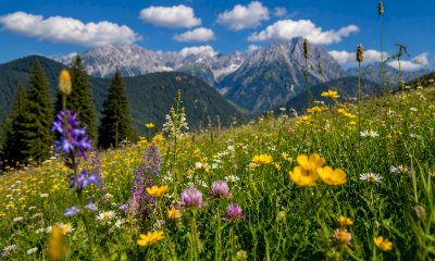 Un laboratorio-gioco per approcciare l&rsquo;importanza della biodiversit&agrave;