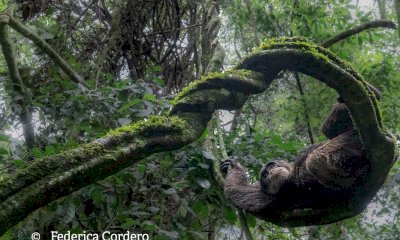 A Dogliani la mostra fotografica &ldquo;Il Respiro della Terra&rdquo; di Federica Cordero