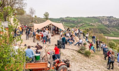Radici Connesse porta nelle Langhe due nuovi eventi tra arte, introspezione e natura 