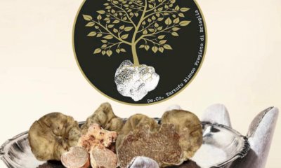 Briaglia celebra il tartufo bianco pregiato: domenica la presentazione del progetto De.Co.