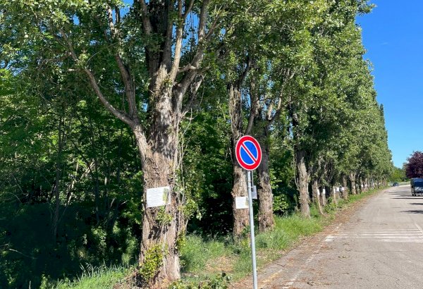 I pioppi di Mont&agrave;