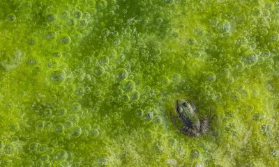 A Cuneo la natura si fa arte: una serata con il pluripremiato fotografo Filippo Carugati